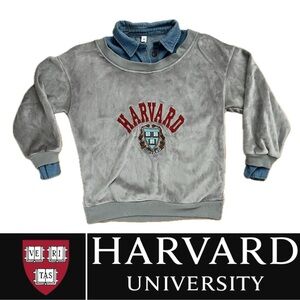 📕VTG VELOUR—Denim-Lined Gray Velour Harvard University Sweatshirt | Medium?